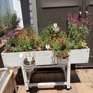 Jacqueline added a photo of their purchase