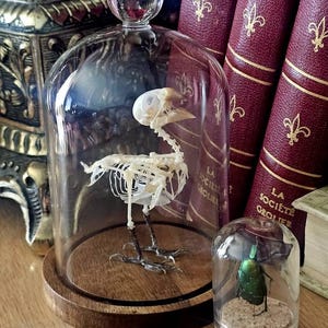 Jennifer added a photo of their purchase
