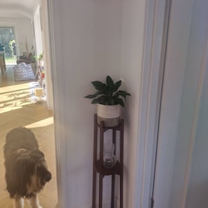 Sarah added a photo of their purchase