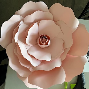 Christine added a photo of their purchase