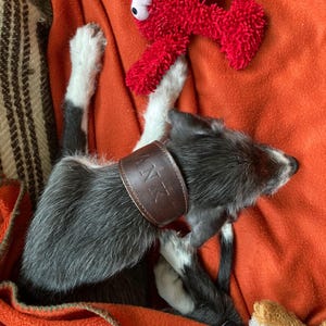 Ivona added a photo of their purchase