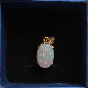 William added a photo of their purchase