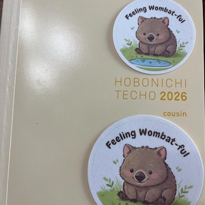 E ha aggiunto una foto del proprio acquisto