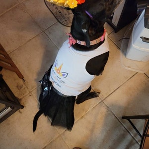 Barbara added a photo of their purchase
