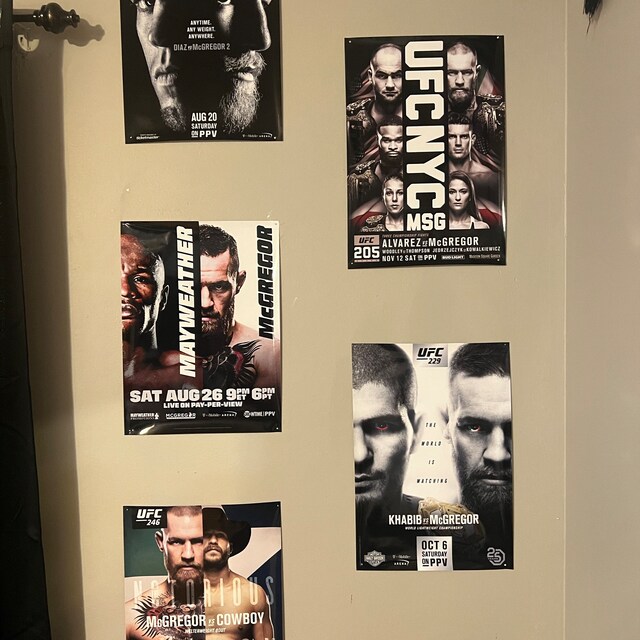 UFC 229 コナー・マクレガー vs ハビブ・ヌルマゴメドフ ライト級