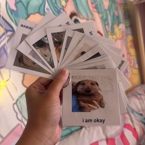 Levi added a photo of their purchase