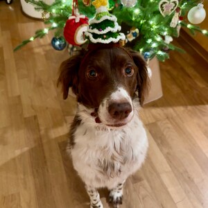 Comprador de Etsy ha añadido una foto de su compra