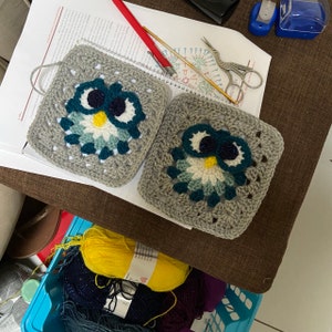 Crochet Pattern INSTANT PDF DOWNLOAD Crochet Flowers - Etsy