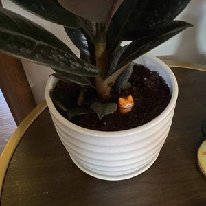 Emily added a photo of their purchase