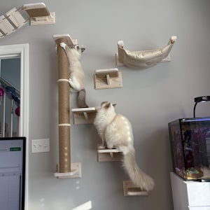 Holly adicionaram uma foto da sua compra