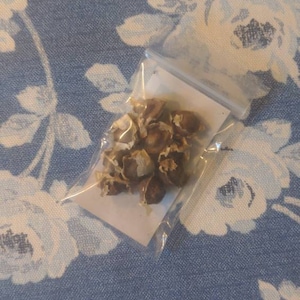 Reed added a photo of their purchase