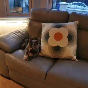 Jill added a photo of their purchase