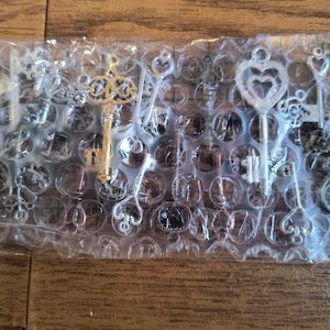 Nicki added a photo of their purchase