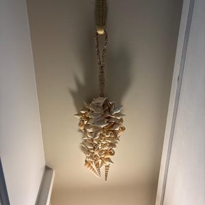 Nancy added a photo of their purchase