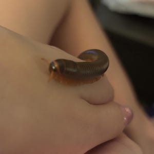 Etsy buyer added a photo of their purchase