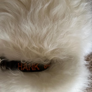 Bonnie added a photo of their purchase
