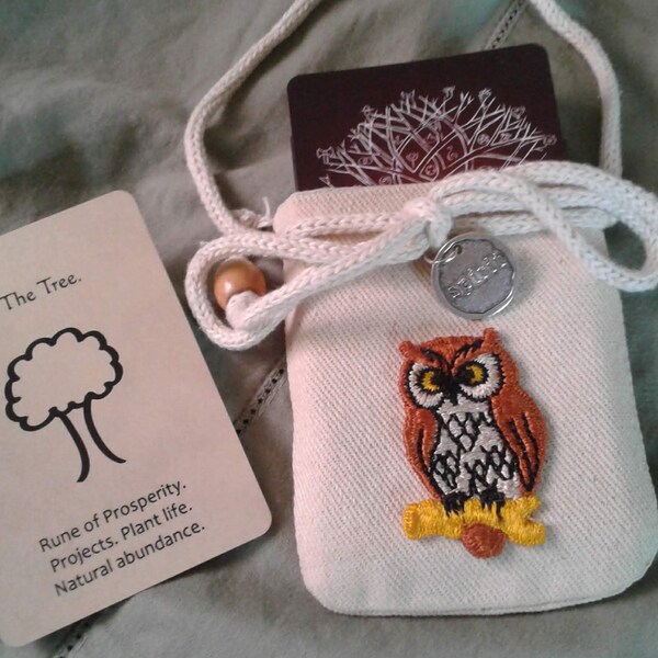 Womanrunes Interpretation Guide, Book AND Card Set (divination, Oracle ...