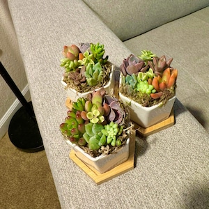 Katherine added a photo of their purchase