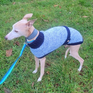 Greyhound Coat Knitting Pattern Download - Etsy UK