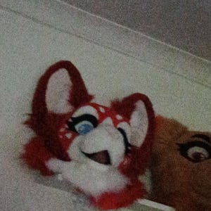 Keston added a photo of their purchase