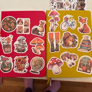Jenny hat ein Foto des gekauften Artikels hinzugefügt