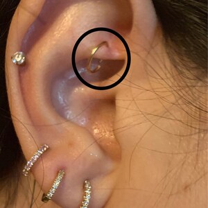 Rook Earring Gold Rook Jewellery Rook Piercing Rook Ring Rook Piercing ...