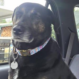 Jennifer added a photo of their purchase