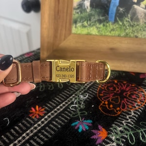 Sandra added a photo of their purchase