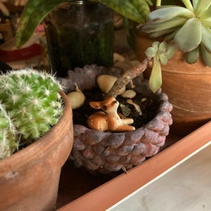 Mary added a photo of their purchase