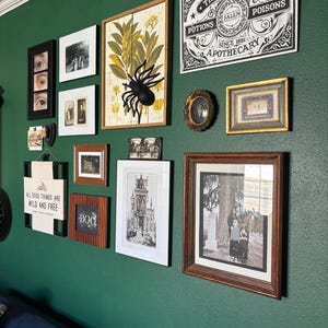 Sydney added a photo of their purchase