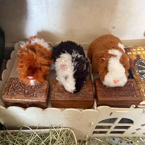 brian hat ein Foto des gekauften Artikels hinzugefügt