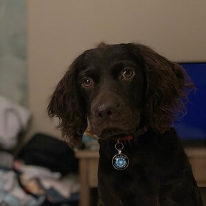 Logan ha añadido una foto de su compra