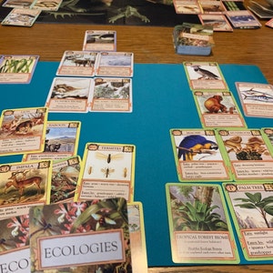 Ecologies Card Game Gameplay Inspired by Nature Use | Etsy