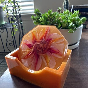 Rabeca added a photo of their purchase