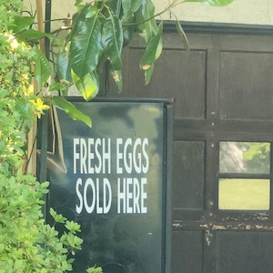 Terri added a photo of their purchase