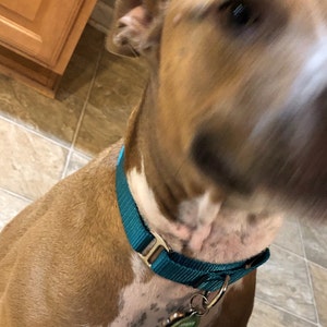 Ashes DiMaria added a photo of their purchase