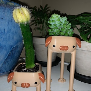 Faith added a photo of their purchase