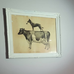 Jennifer added a photo of their purchase