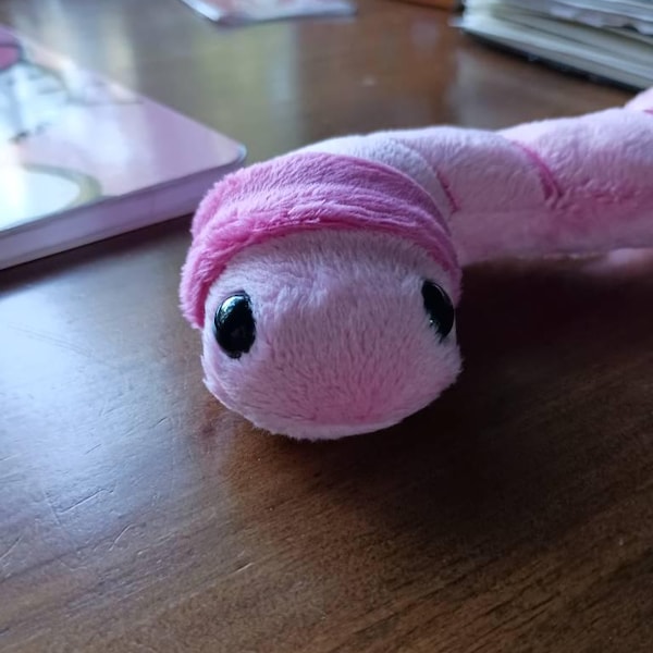 Worm Plush – Handmade Minky Earthworm Plushie, Colorful Custom Plush ...