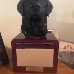 Leonard ha añadido una foto de su compra