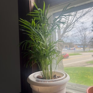 krista added a photo of their purchase