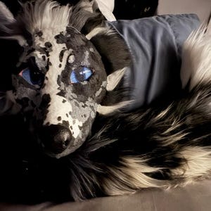 Rae ha aggiunto una foto del proprio acquisto