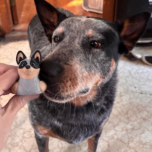 Beth added a photo of their purchase