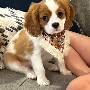 Katie added a photo of their purchase