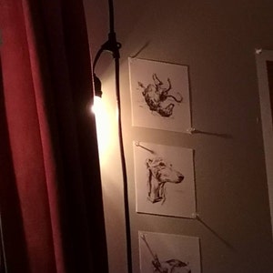 Sydney ha aggiunto una foto del proprio acquisto