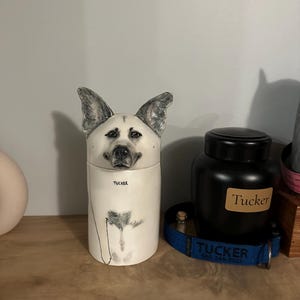 Megan added a photo of their purchase