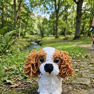 Abbey added a photo of their purchase