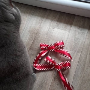 S. added a photo of their purchase