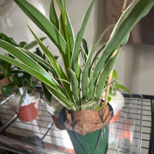 Angie added a photo of their purchase