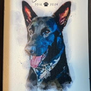 Lucy adicionaram uma foto da sua compra